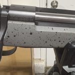 Bergara Action