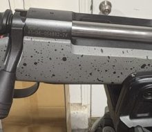 Bergara Action