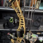 IMG_3679